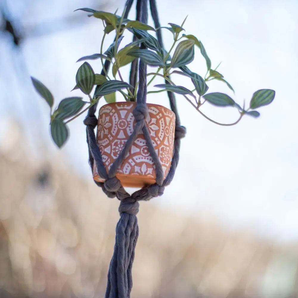 Mini Flourish Plant Hanger