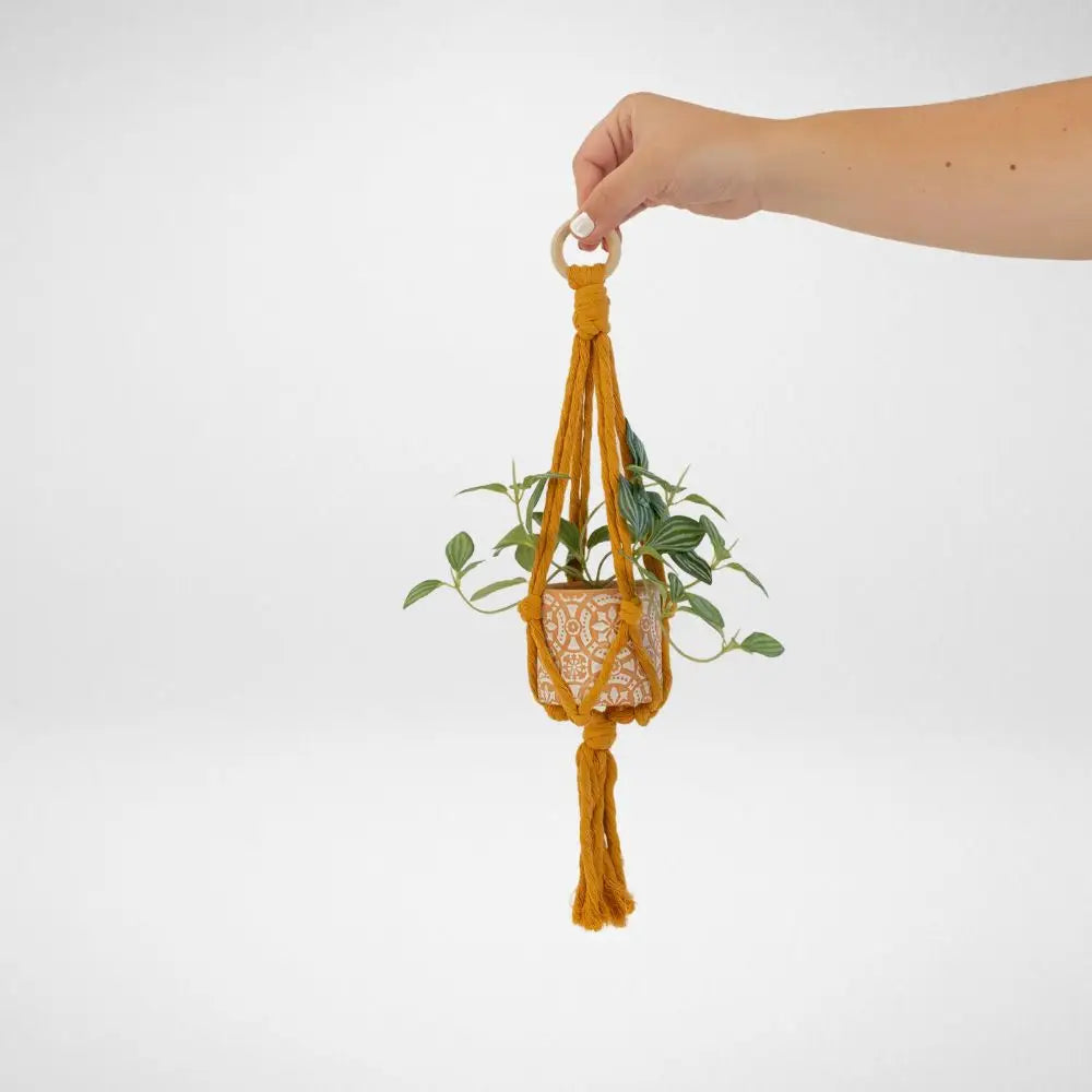 Mini Flourish Plant Hanger