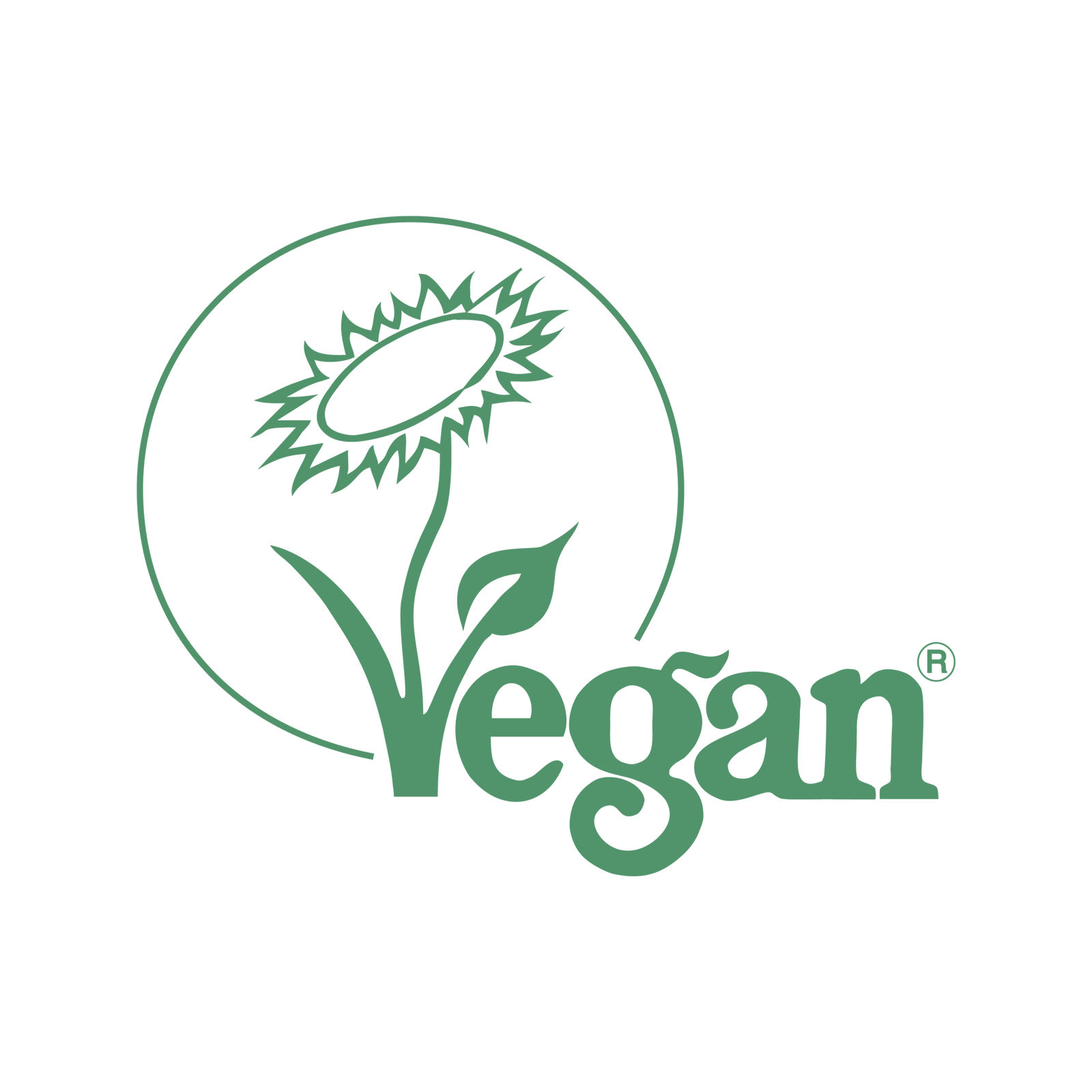 Natural Sisal Palm Body Wash Brush