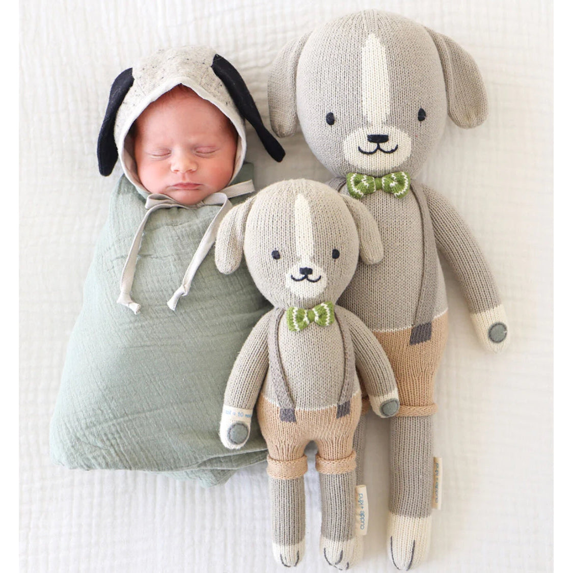 Noah the Dog- Assorted Sizes