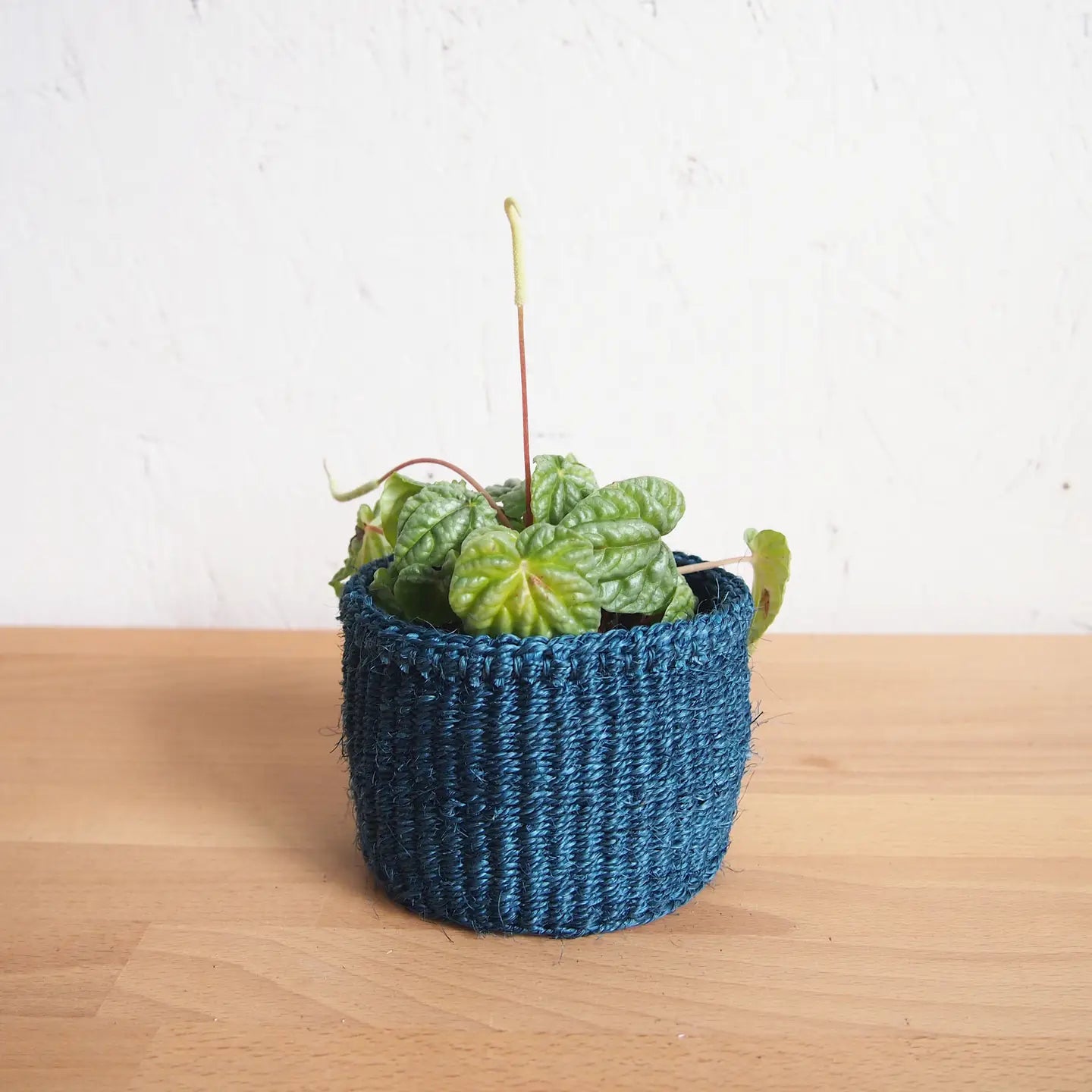 Ocean XXS Sisal Basket