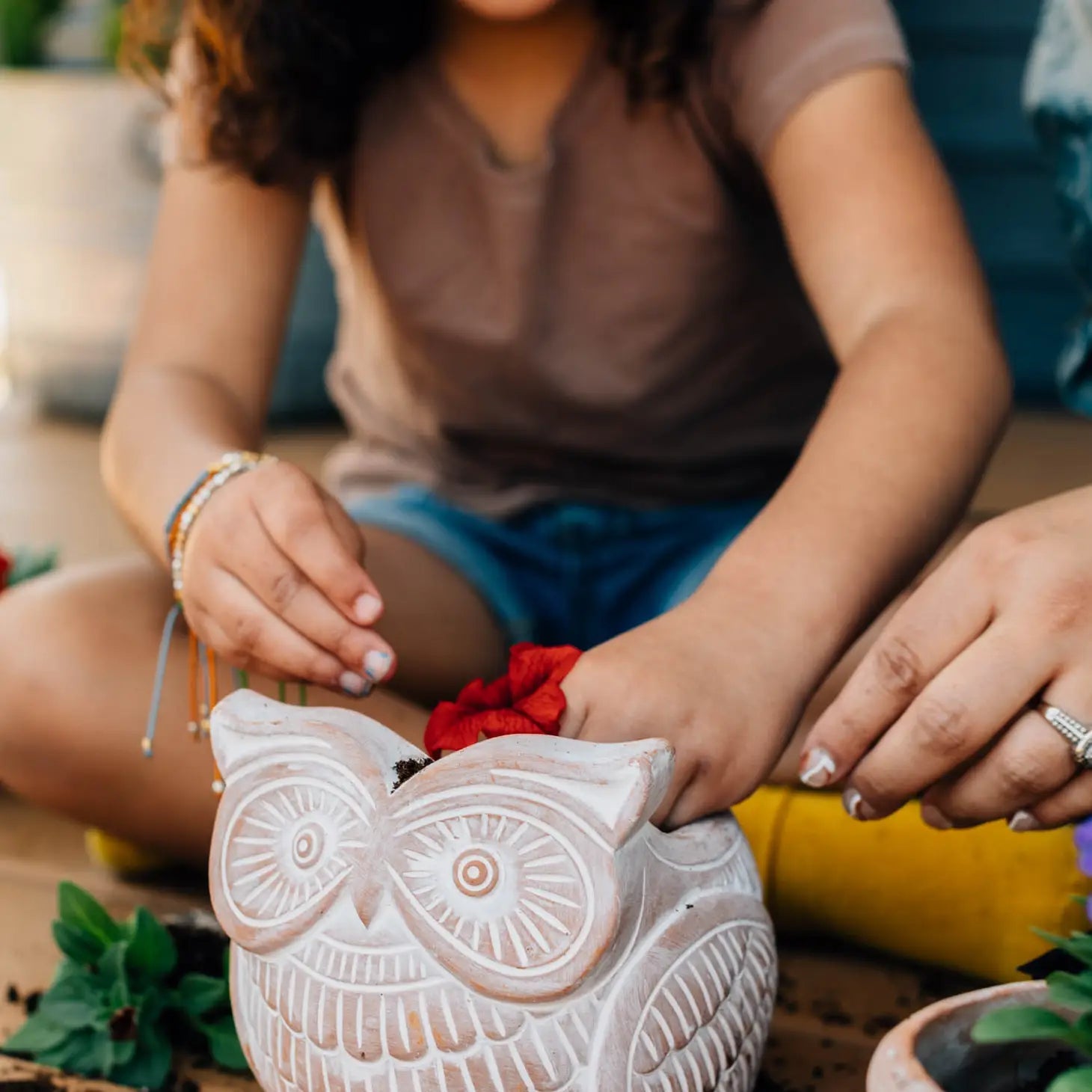 Owl Planter (*Local Pickup/ Local Delivery Only)