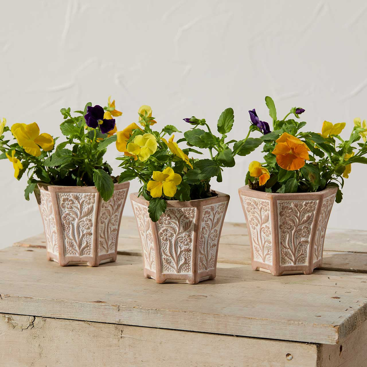 Petite Blooms Terracotta Planter- Sold Individually (*Local Pickup/Local Delivery Only) (Copy)