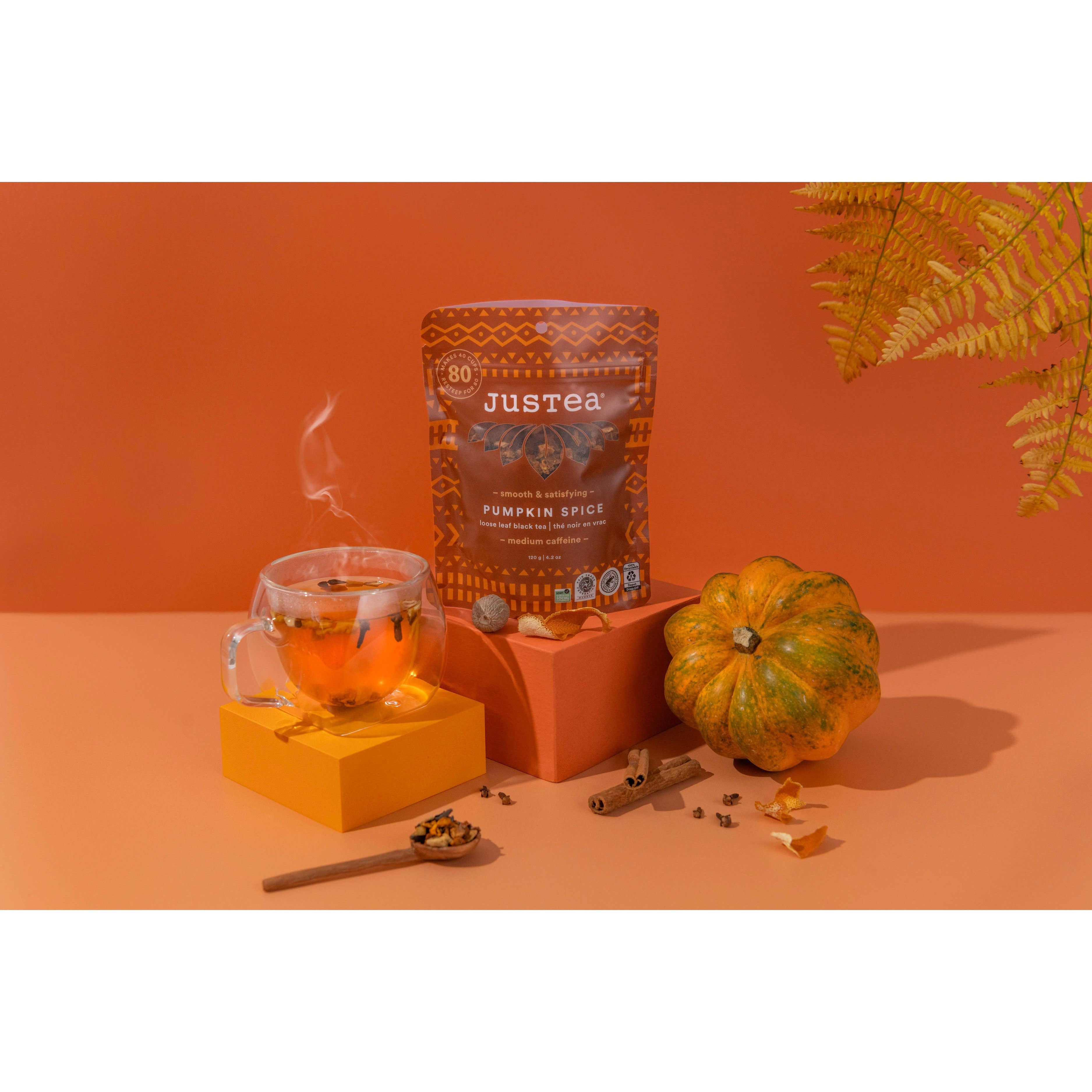 Pumpkin Spice Loose Leaf Tea: Stand-up Pouch