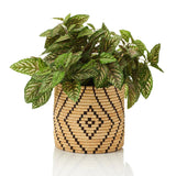Raffia Plant Cover (*Local Pickup/Local Delivery Only)