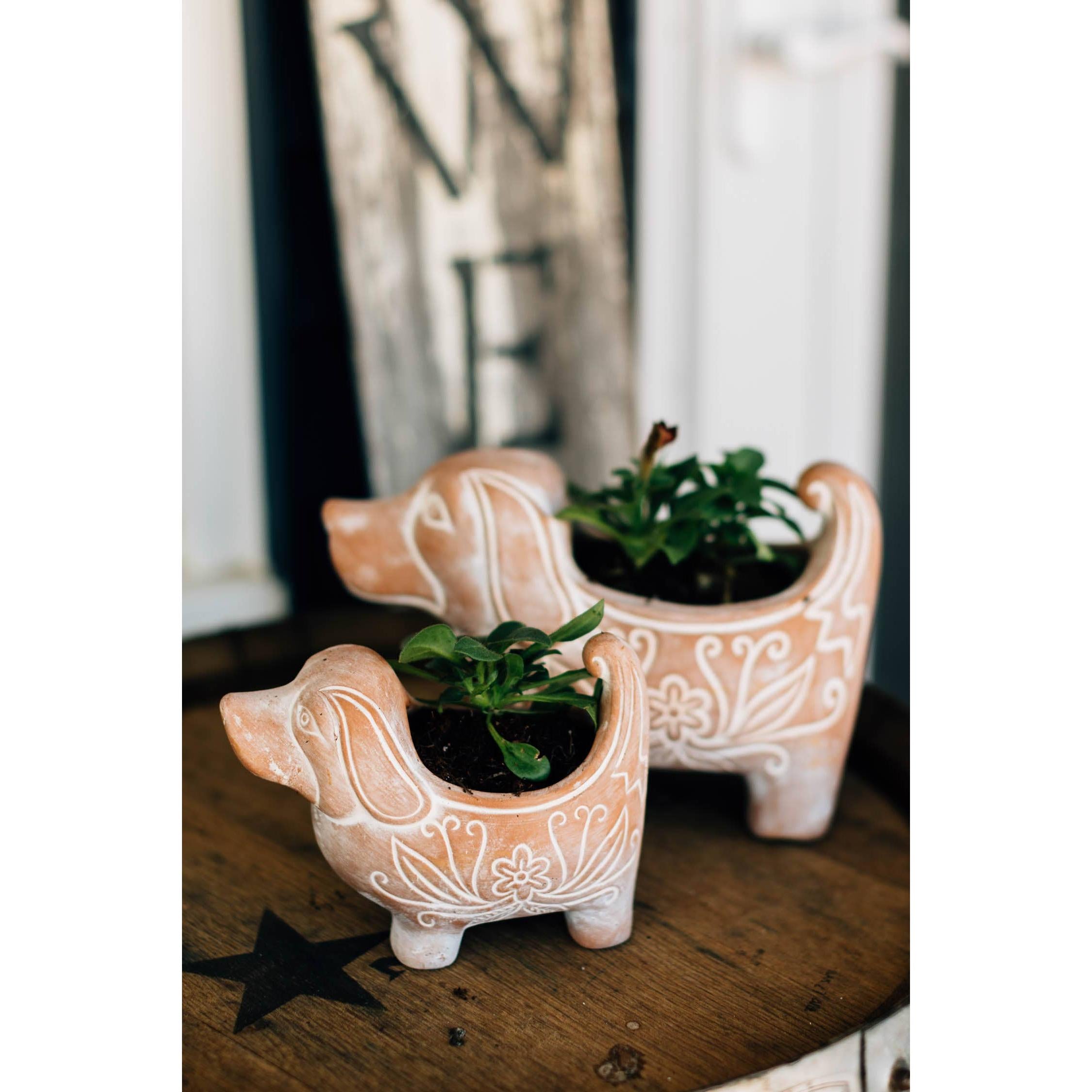 Terracotta Dog Planter (Local Pickup/Local Delivery Only)