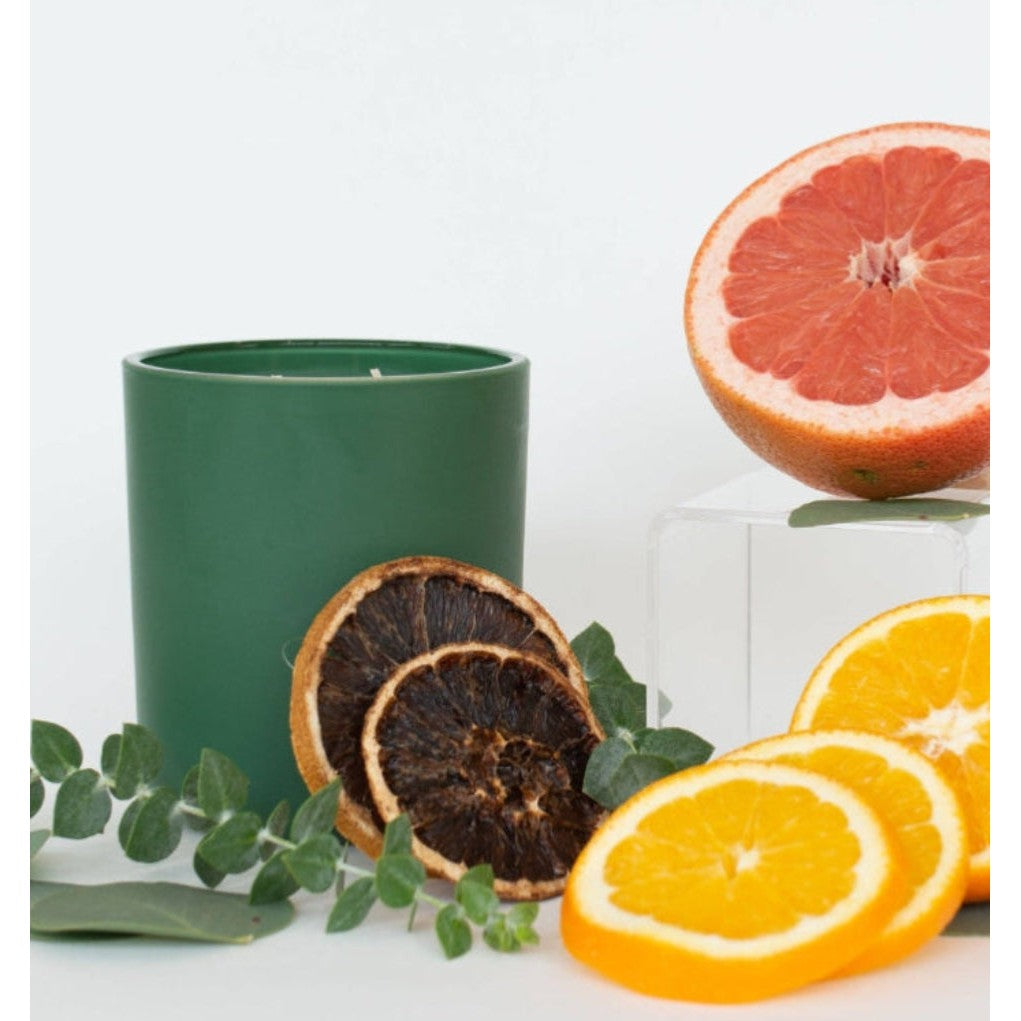 The Worthy Co: 14 oz Candle- Assorted Scents