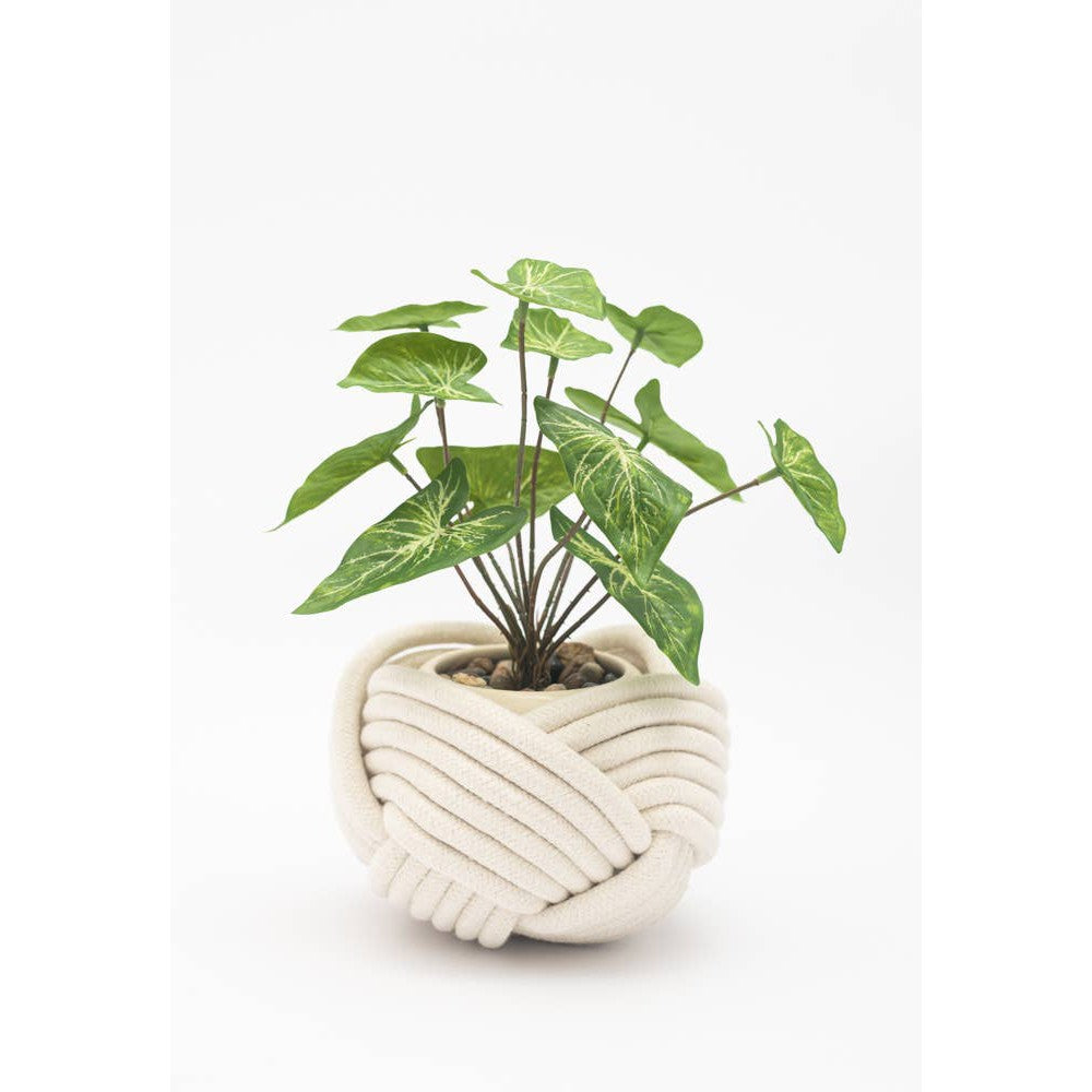 Unbound White Planter