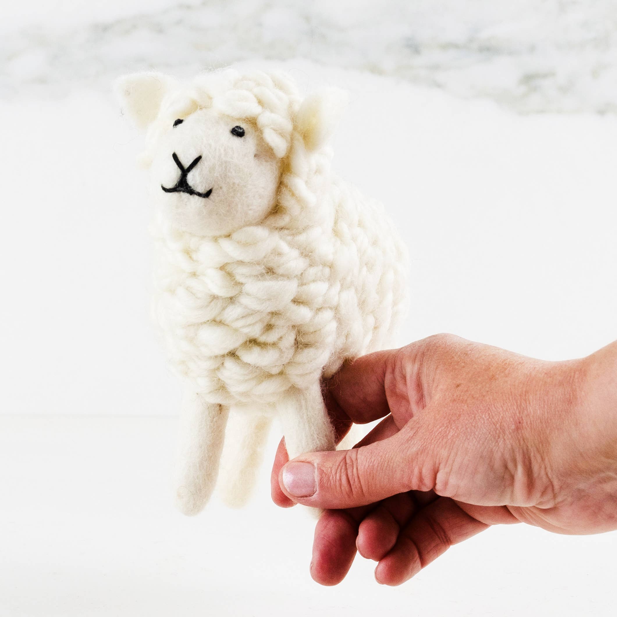 White Wool Sheep