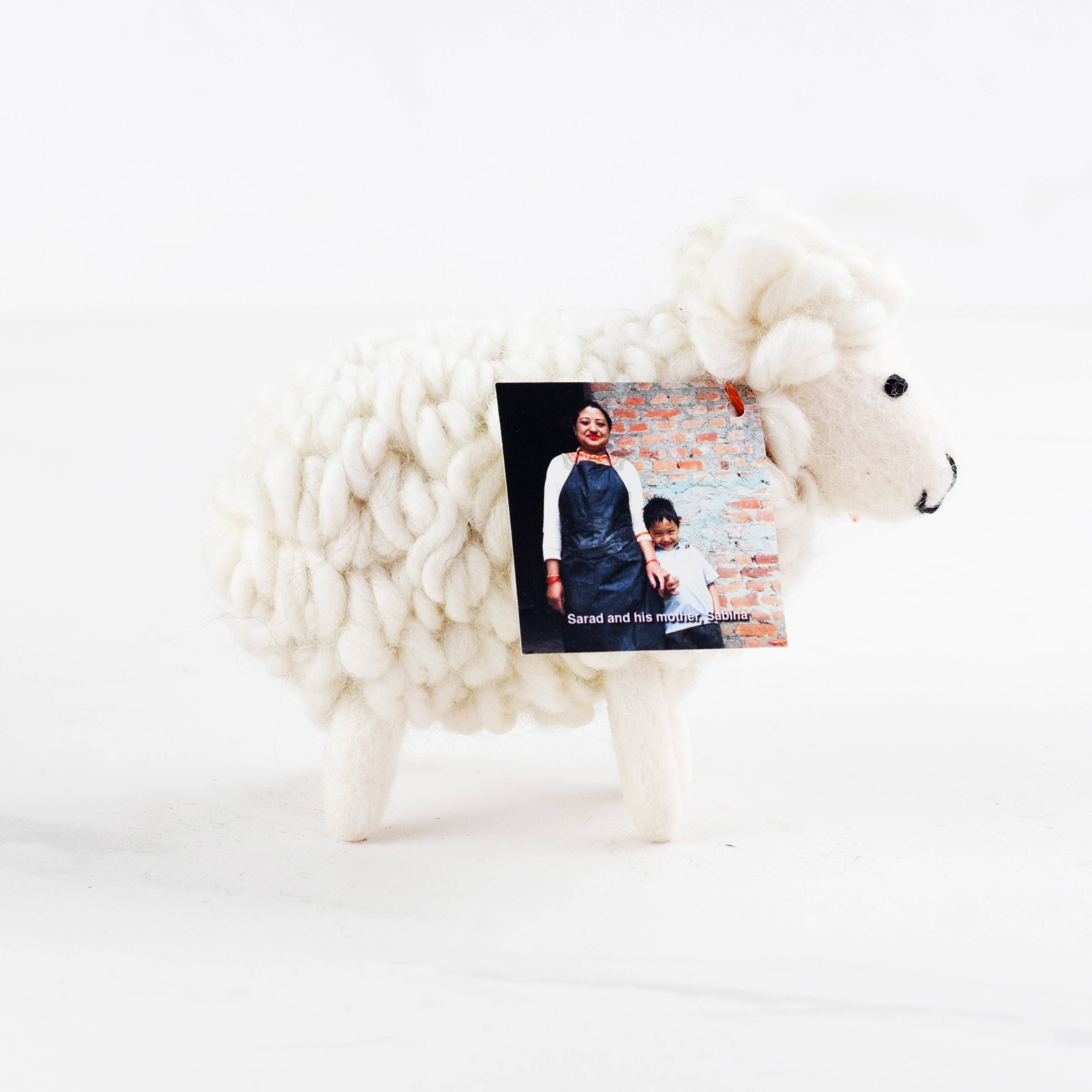 White Wool Sheep