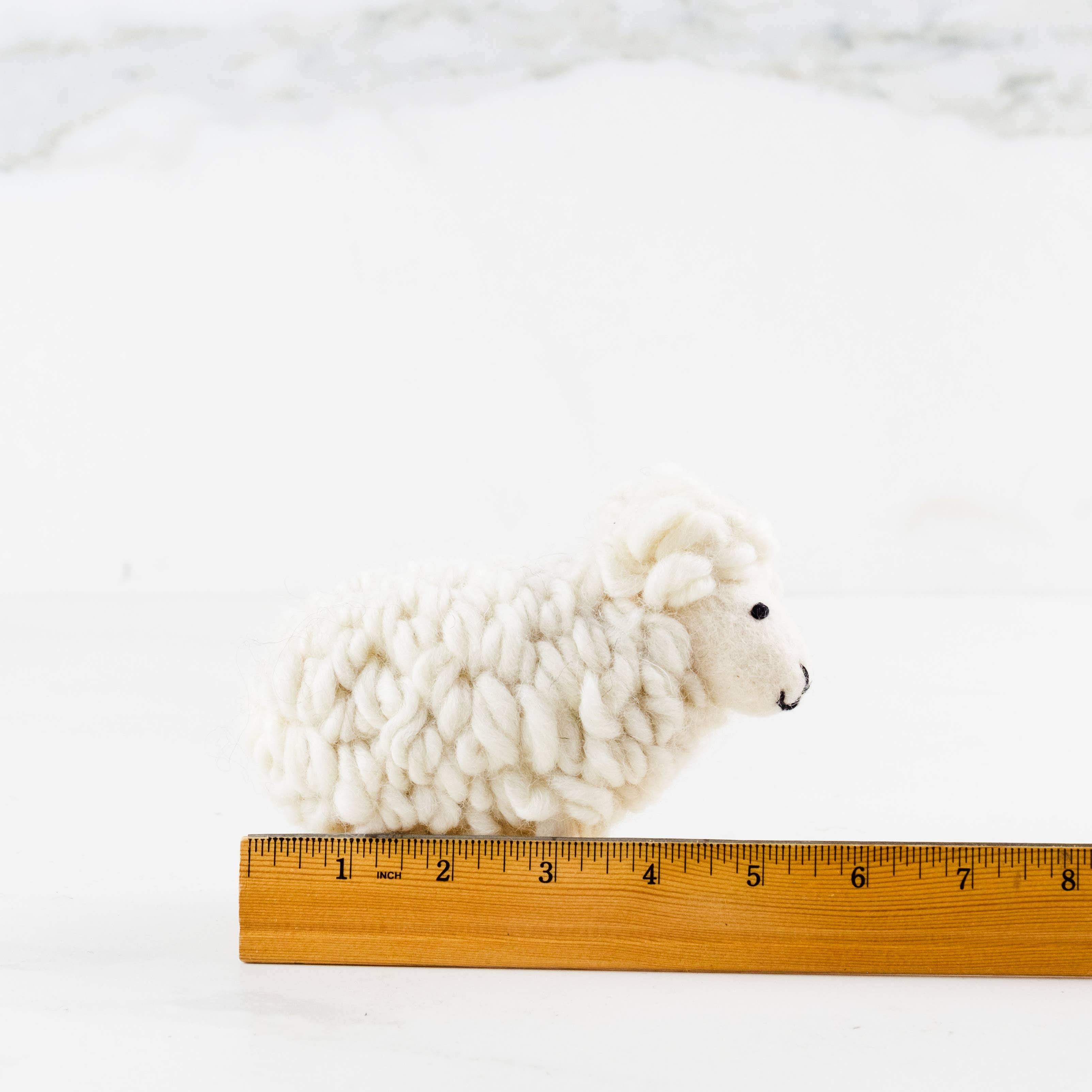 White Wool Sheep