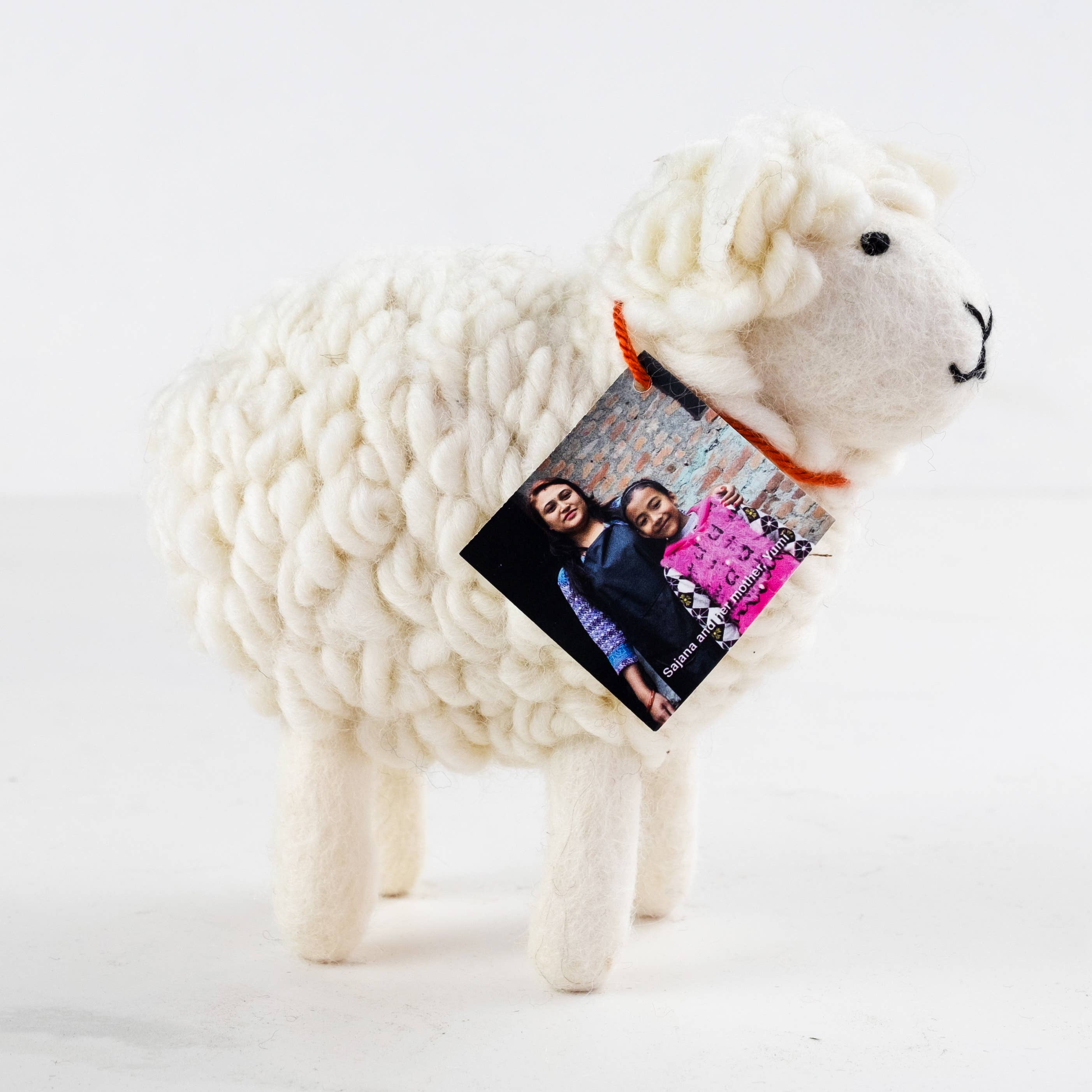 White Wool Sheep