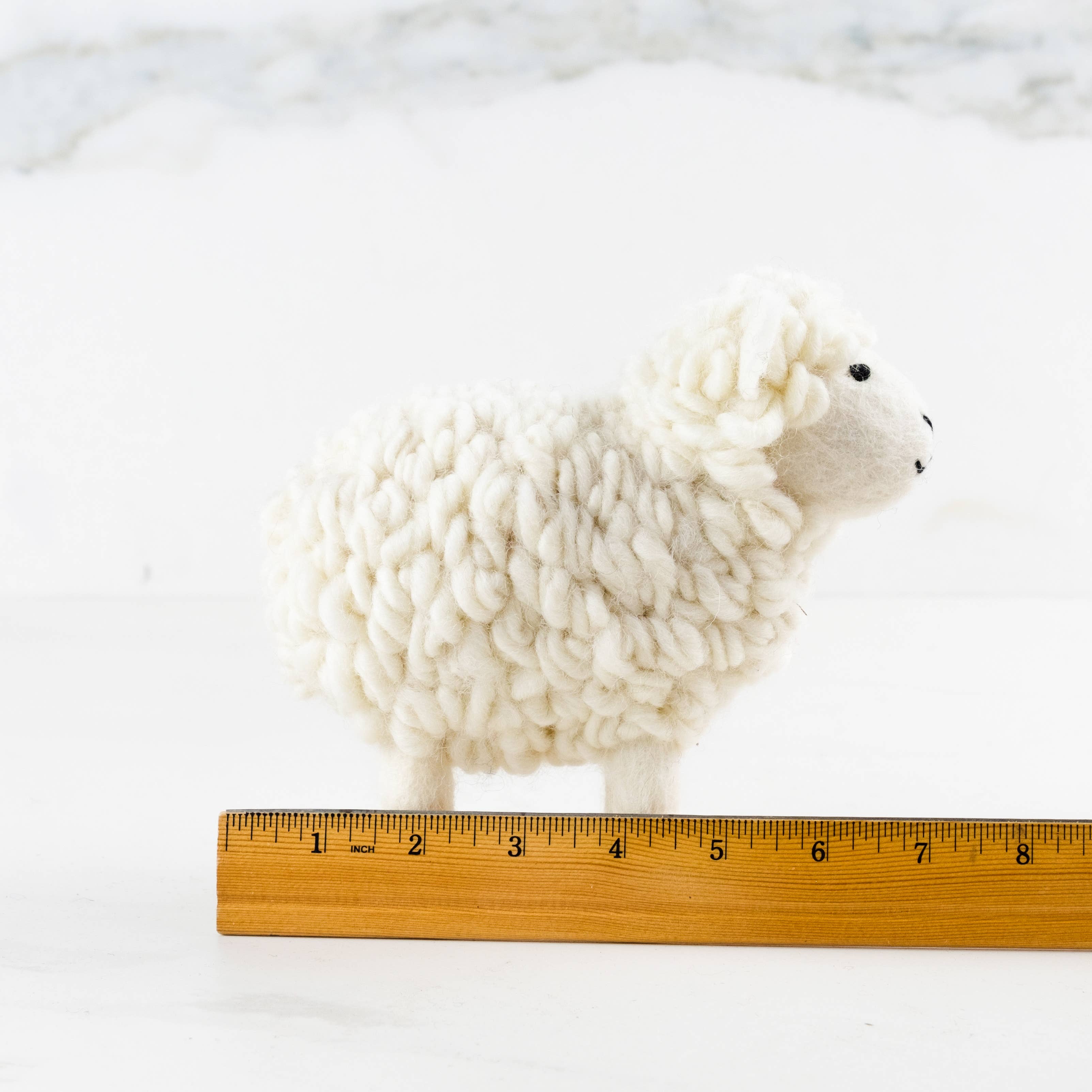 White Wool Sheep