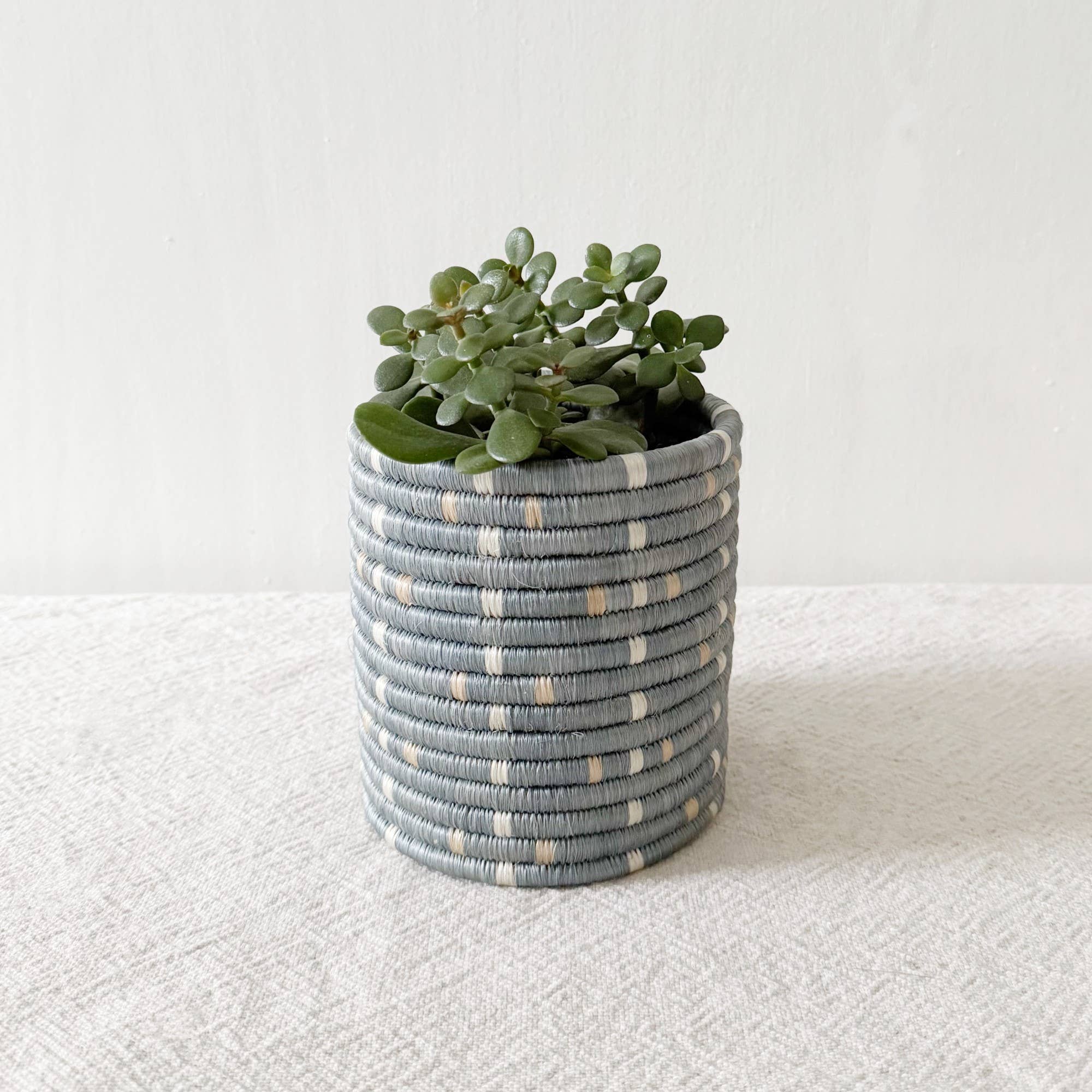 Biera Sweetgrass Basket (5”x 5”)