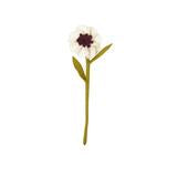 Felt Anemone Flower- Assorted Colors- Sold Individually