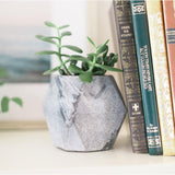 Geo Black Stone Planter (*Local Pickup/Local Delivery Only)