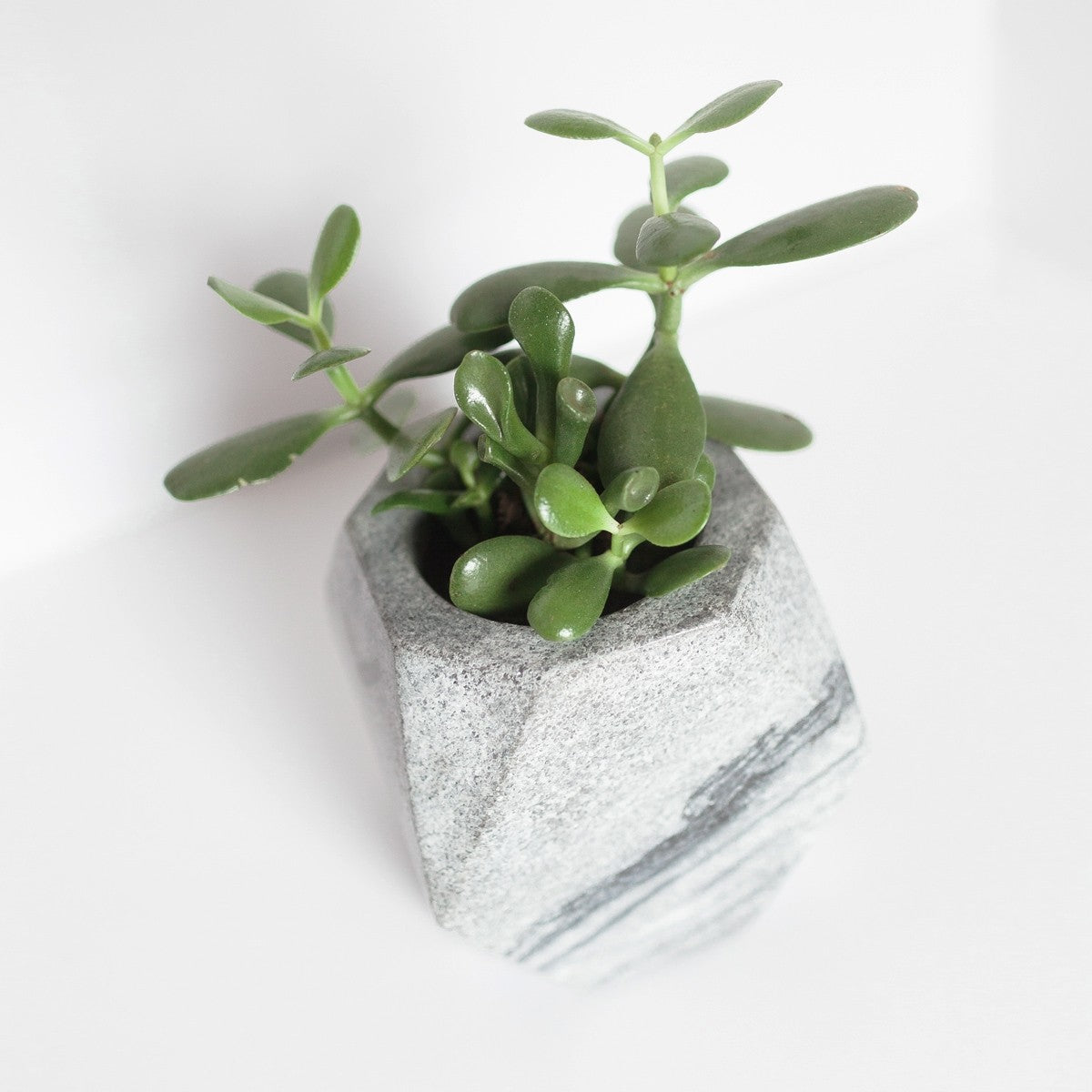 Geo Black Stone Planter (*Local Pickup/Local Delivery Only)