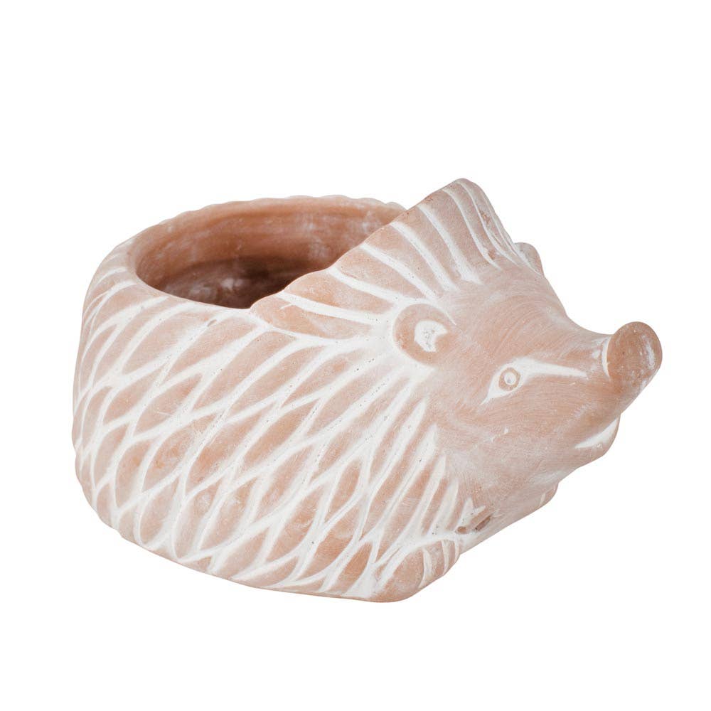 Hedgehog Planter - Large (* Local Pickup / Local Delivery Only)