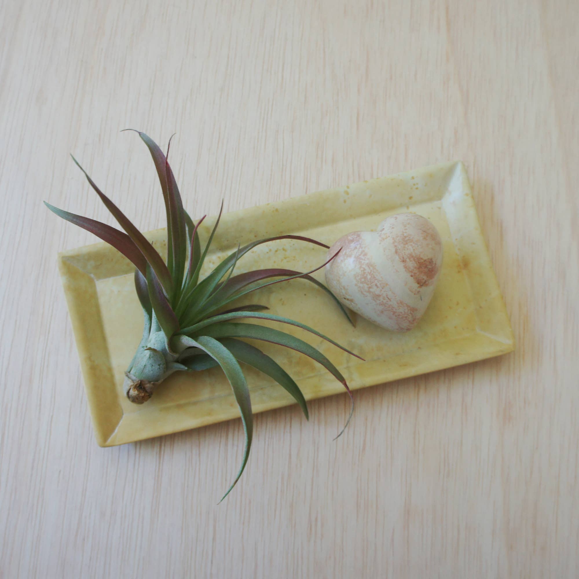 Natural Soapstone Rectangle Dish