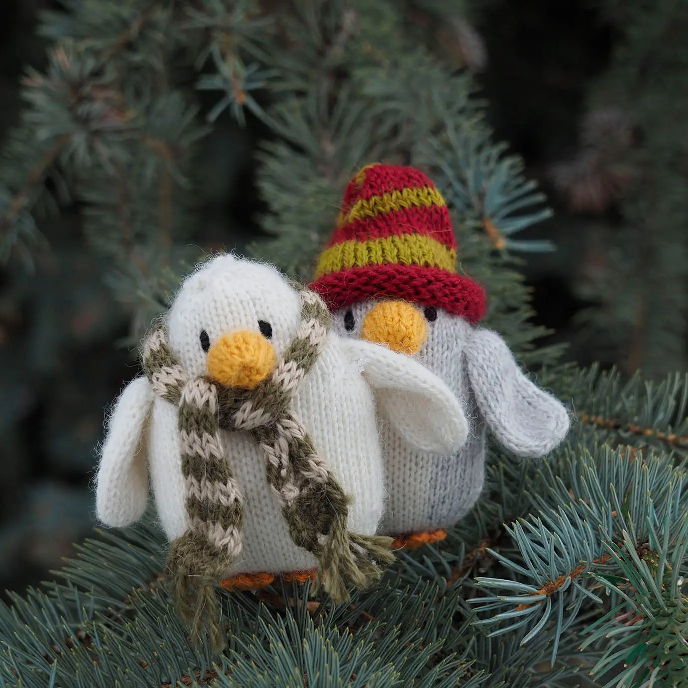 Penguin in Accessories Ornament*- Sold Individually