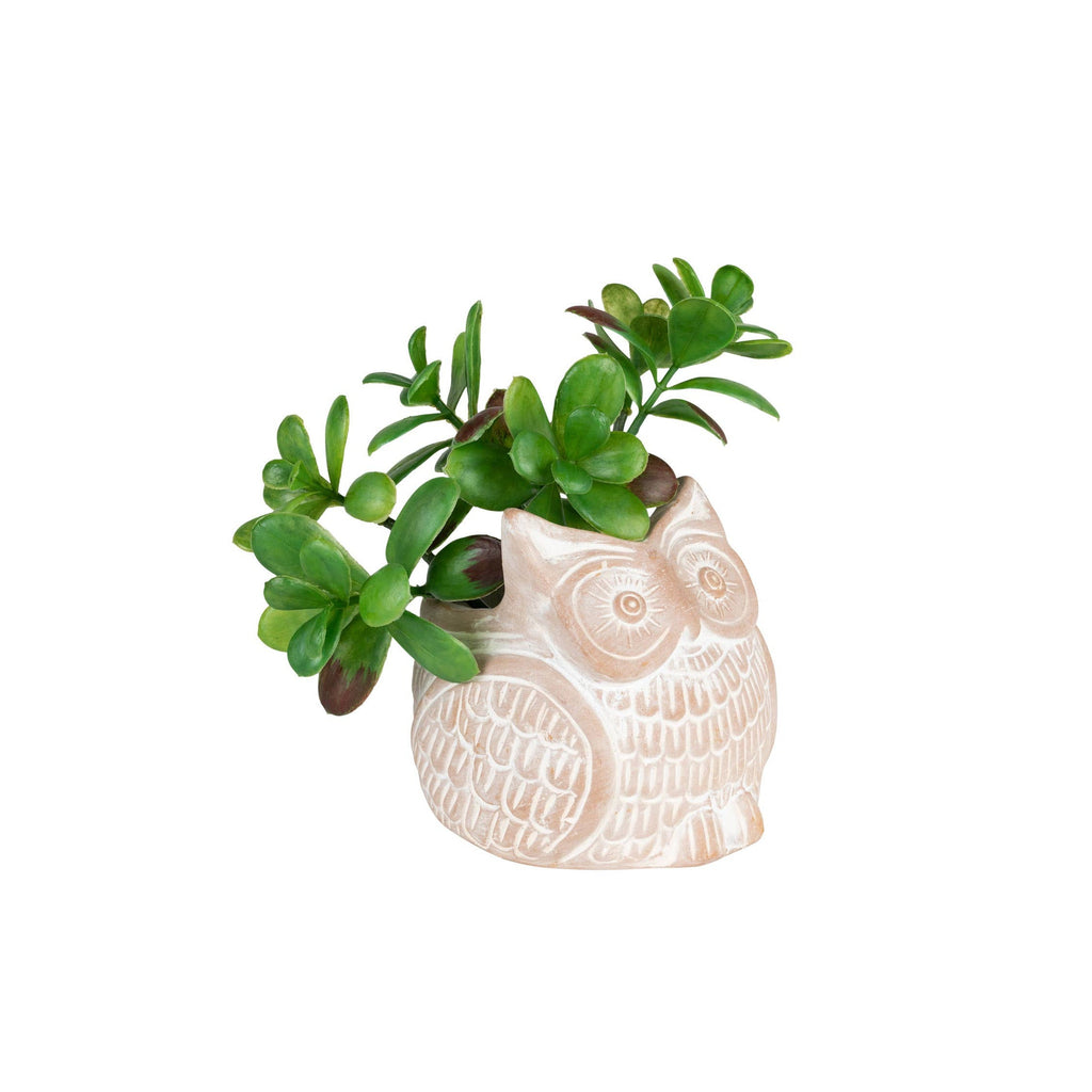 Petite Owl Planter  (* Local Pickup / Local Delivery Only)