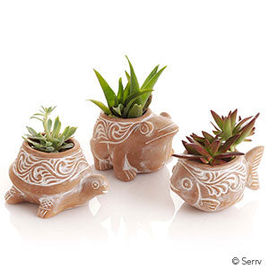 Pond Critter Planter- Assorted Styles- Sold Individually