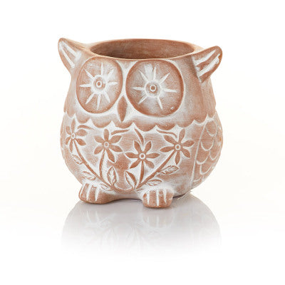 Who’s Who Owl Terracotta Planter (*Local Pickup/Local Delivery Only)